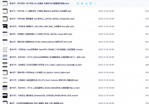 [免费资源]小迪安全2023全套课程+相关资料-隼目安全