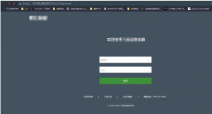 cnvd通用漏洞-JS中漏洞挖掘-隼目安全