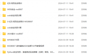 ms08067付费课程-隼目安全