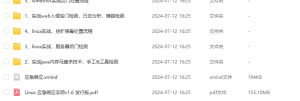 蓝队应急响应解析-隼目安全